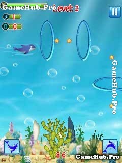 Tải game The Dolphin Stunt - Diễn viên cá Heo cho Java