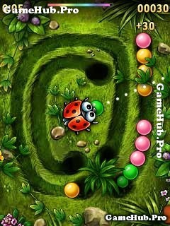 Tải game Zoom Bug - Bọ rùa Bắn Bóng cực hay cho Java
