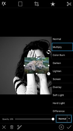 Hướng dẫn tạo ảnh Overlay người và thú trên PicsArt