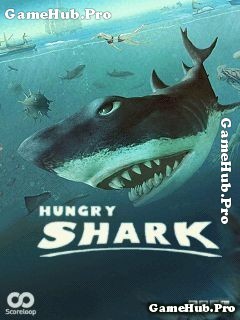 Tải game Hungry Shark - Cá Mập Ăn Thịt Crack Cho Java