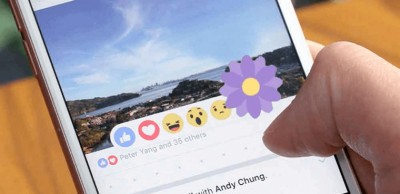 Biểu tượng cảm xúc bông hoa trên Facebook có ý nghĩa gì ?