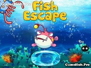 Tải game Fish Escape - Chạy trốn điên cuồng cho Java