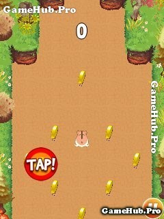 Tải game Hamster Run - Chuột Bạch chạy vô tận cho Java