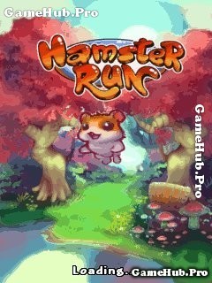 Tải game Hamster Run - Chuột Bạch chạy vô tận cho Java