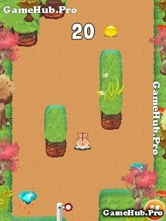 Tải game Hamster Run - Chuột Bạch chạy vô tận cho Java