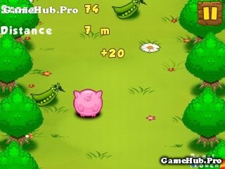 Tải game Pig Toss - Bắn lợn lòi cực dễ thương cho Java