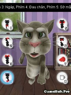 Tải Game Talking Tom Cat 3 Java – Chú Mèo Vui Nhộn