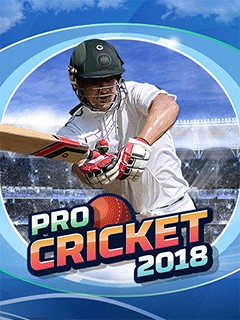 Tải game Pro Cricket 2018 - Bóng chày mùa giải mới Java