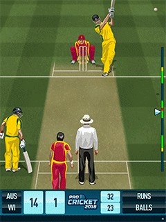 Tải game Pro Cricket 2018 - Bóng chày mùa giải mới Java