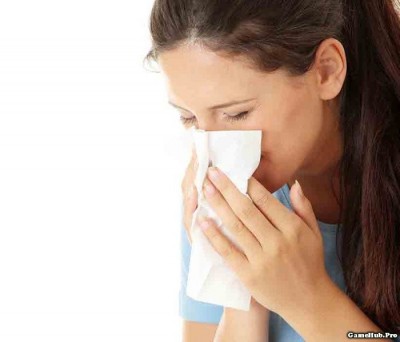 Mẹo phòng tránh viêm mũi mũi dị ứng mùa Lạnh ẩm