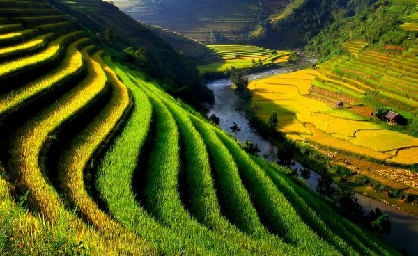 Những hình ảnh đẹp không thể cưỡng nổi của Việt Nam