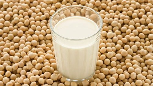 Những lí do mách bạn nên uống sữa đậu nành mỗi ngày